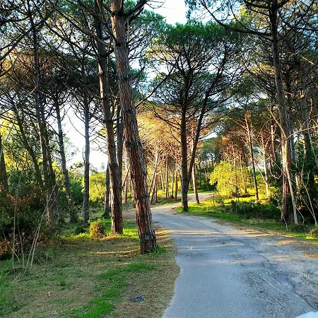 App.to Le Bouganville A 900 Mt Dalla Spiaggia Holiday home Marina di Sorso