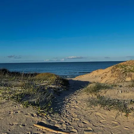 Holiday home App.to Le Bouganville A 900 Mt Dalla Spiaggia Marina di Sorso